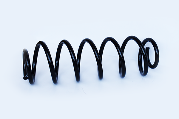 ASAM VW пружина задня Golf IV,Bora,Skoda Octavia I 97-  343/11/110